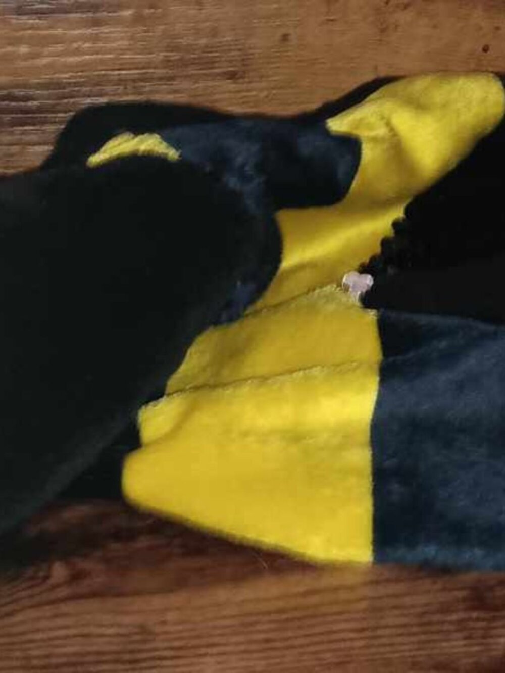 Vibrant Life size Small Bumble Bee dog Halloween Costume